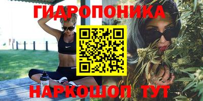 мяу мяу кристалл Тара