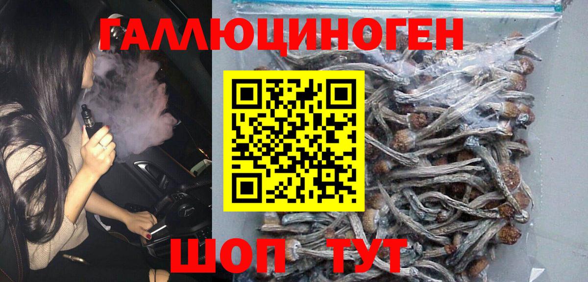 Псилоцибиновые грибы GOLDEN TEACHER Ногинск