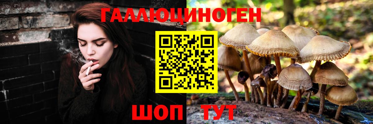 Галлюциногенные грибы Psilocybine cubensis  Вход с VPN  Ногинск 